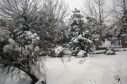 یک روز برفی در تهران و کرج/ گزارش تصویری
