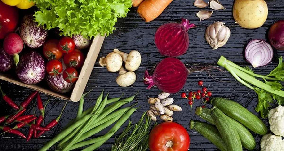 مواد مغذی برای گیاهخواران با منابع گیاهی