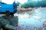سیب را آب برد مسئولان را خواب!