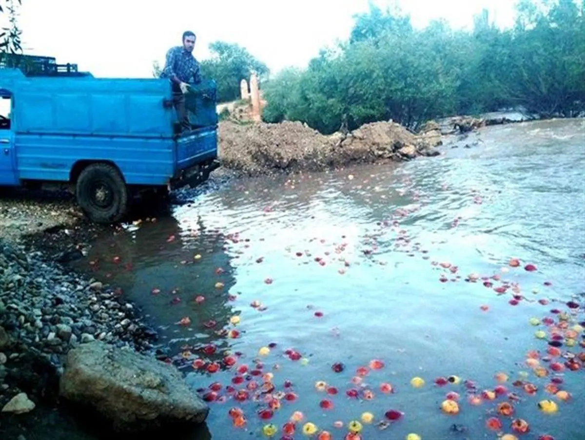 سیب را آب برد مسئولان را خواب!