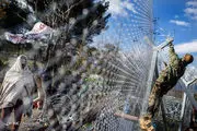  ساخت حصار فلزی در مرز یونان/گزارش تصویری