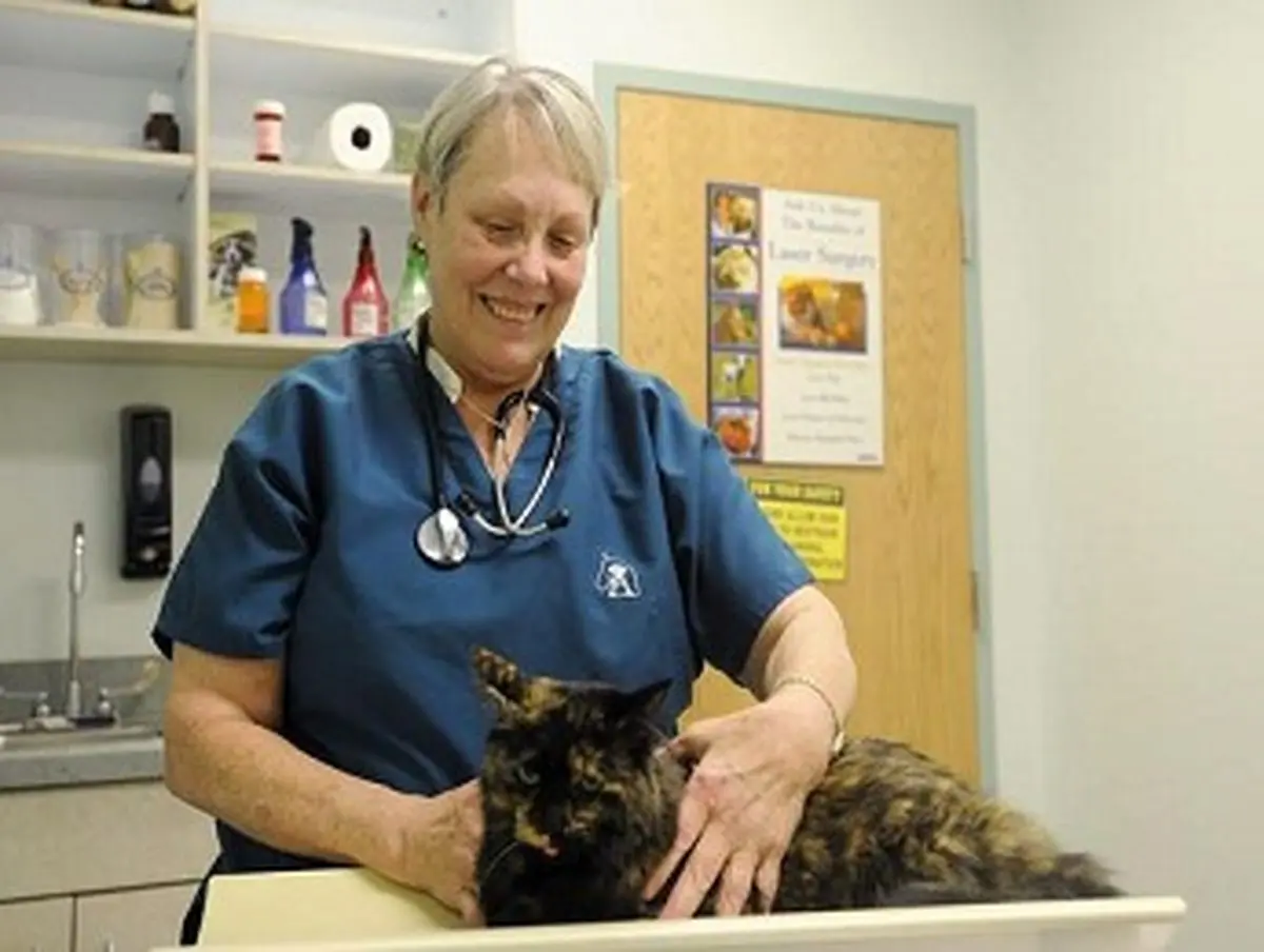 Overweight, Obesity Cause Problems for Our Pets, Too