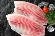 ماهی چینی بر سر سفره ایرانی