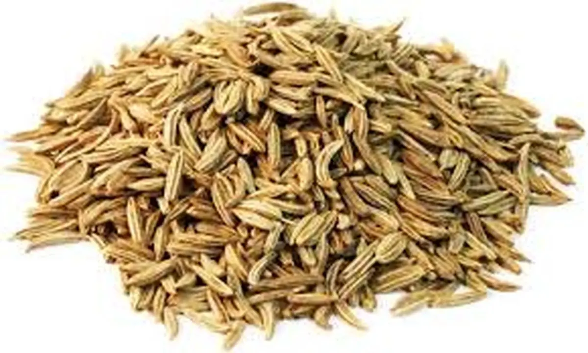 رفع بوی بد دهان با این دانه طبیعی
