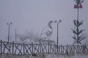 بام ایران سفید پوش شد