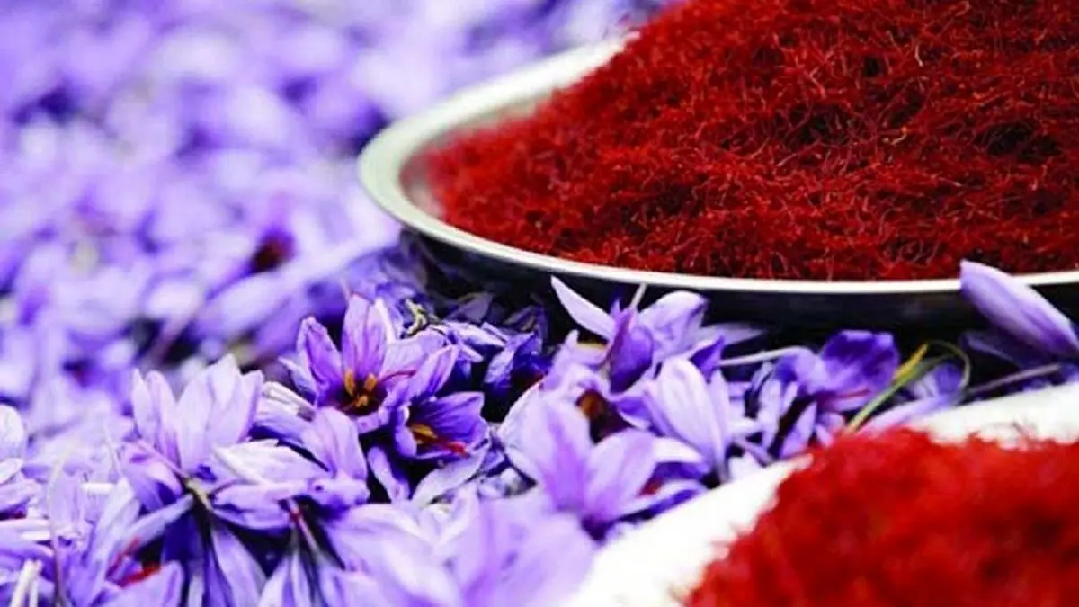 توسعه صنایع تبدیلی راهی برای کمک به جایگاه زعفران ایرانی در دنیا