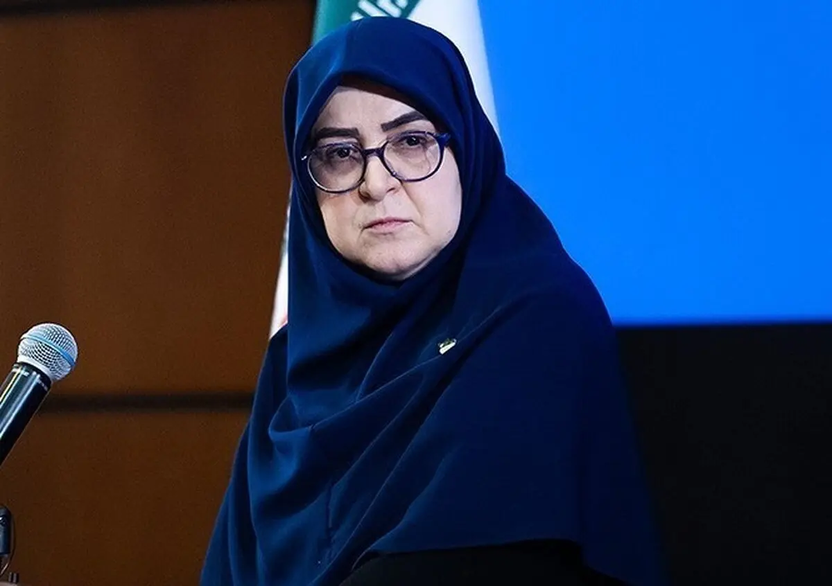 مهاجرانی: شرط تداوم یارانه نقدی و کالابرگ اقامت در ایران است