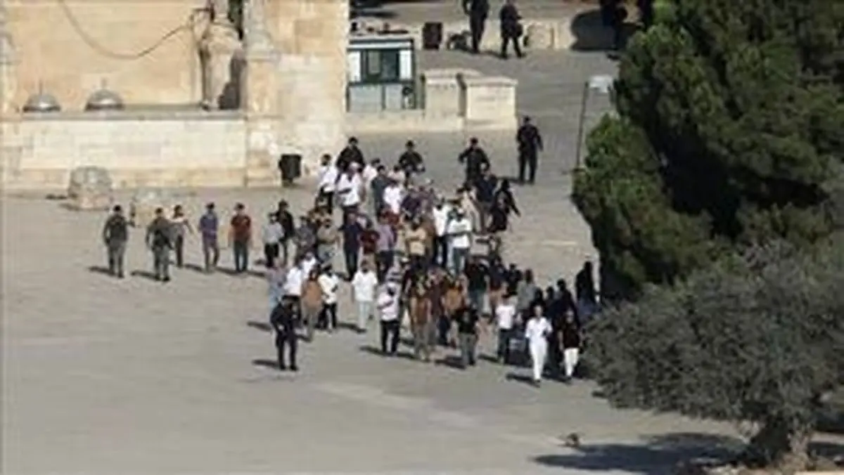 یورش ۲۵۱ صهیونیست به مسجد الاقصی
