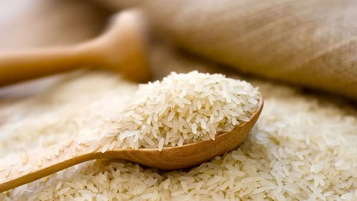 طرح شناسنامه دار کردن برنج به زودی آغاز می شود
