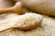 طرح شناسنامه دار کردن برنج به زودی آغاز می شود
