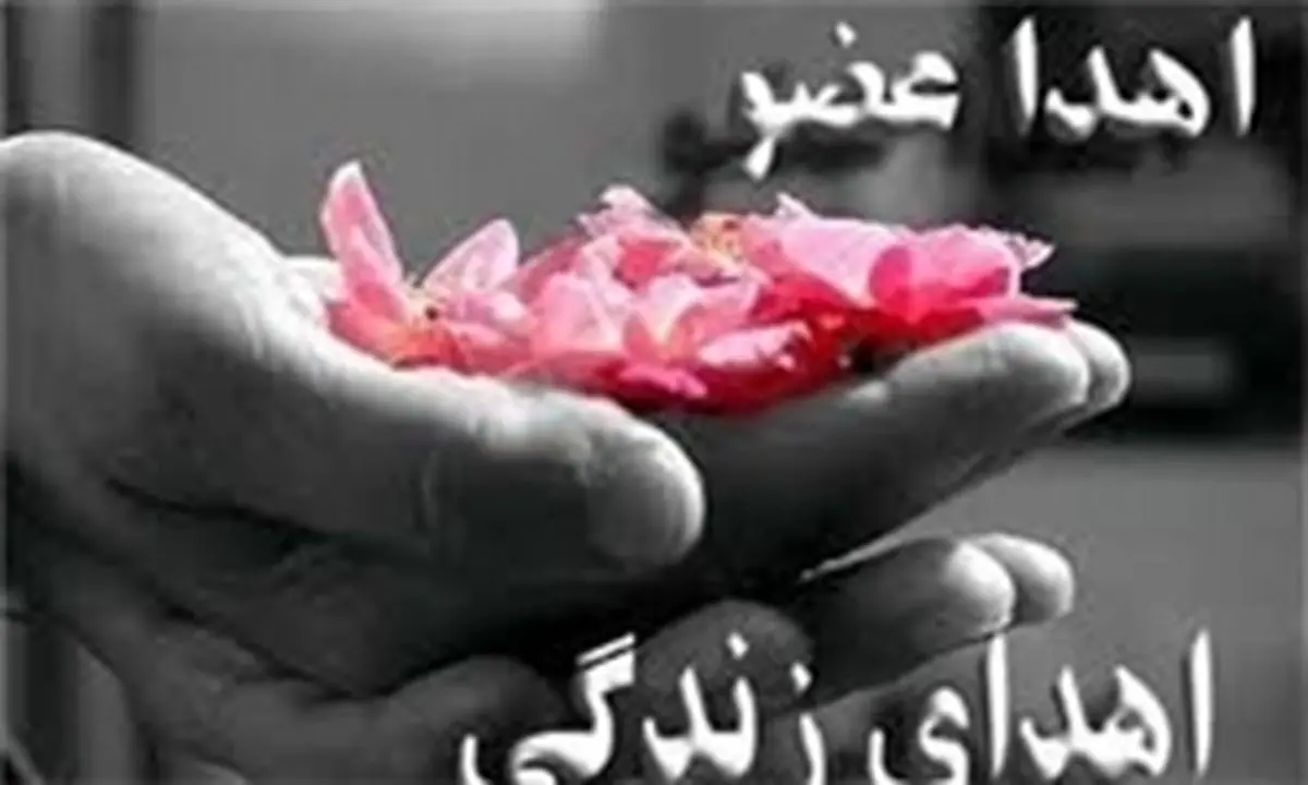 برگشتی برای مرگ مغزی وجود ندارد