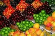 گوجه سبز و زردآلو ارزان شد
