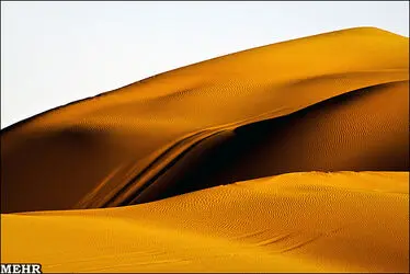 n00082149-r-b-011
