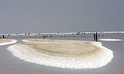 خشک شدن بزرگترین بندر دریاچه ارومیه/ عکس