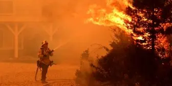 آتش دوباره به جان جنگل‌های گلستان افتاد/آماده‌باش نیروهای حافظ منابع طبیعی