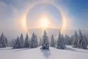 تفال به حافظ چهارشنبه ۱۷ بهمن ۱۴۰۳؛ عمریست تا من در طلب هر روز گامی می‌زنم.