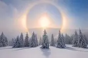 تفال به حافظ چهارشنبه ۱۷ بهمن ۱۴۰۳؛ عمریست تا من در طلب هر روز گامی می‌زنم.