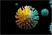 آمار وحشتناک شمار قربانیان کرونا در آفریقا