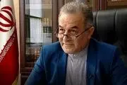 سفیر ایران خواستار بازنگری در توافق روادید با گرجستان شد
