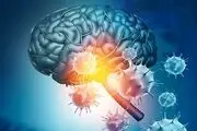 ویروس کرونا قشر خاکستری مغز را تغییر می‌دهد
