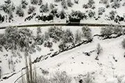 سرما در راه است