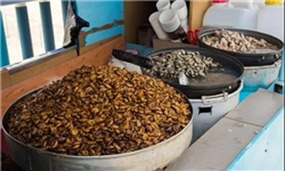 غذاهای عجیب در سراسر جهان به روایت تصویر