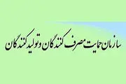 تجمع شاکیان یک شرکت خودرو سازی مقابل سازمان حمایت از مصرف کنندگان