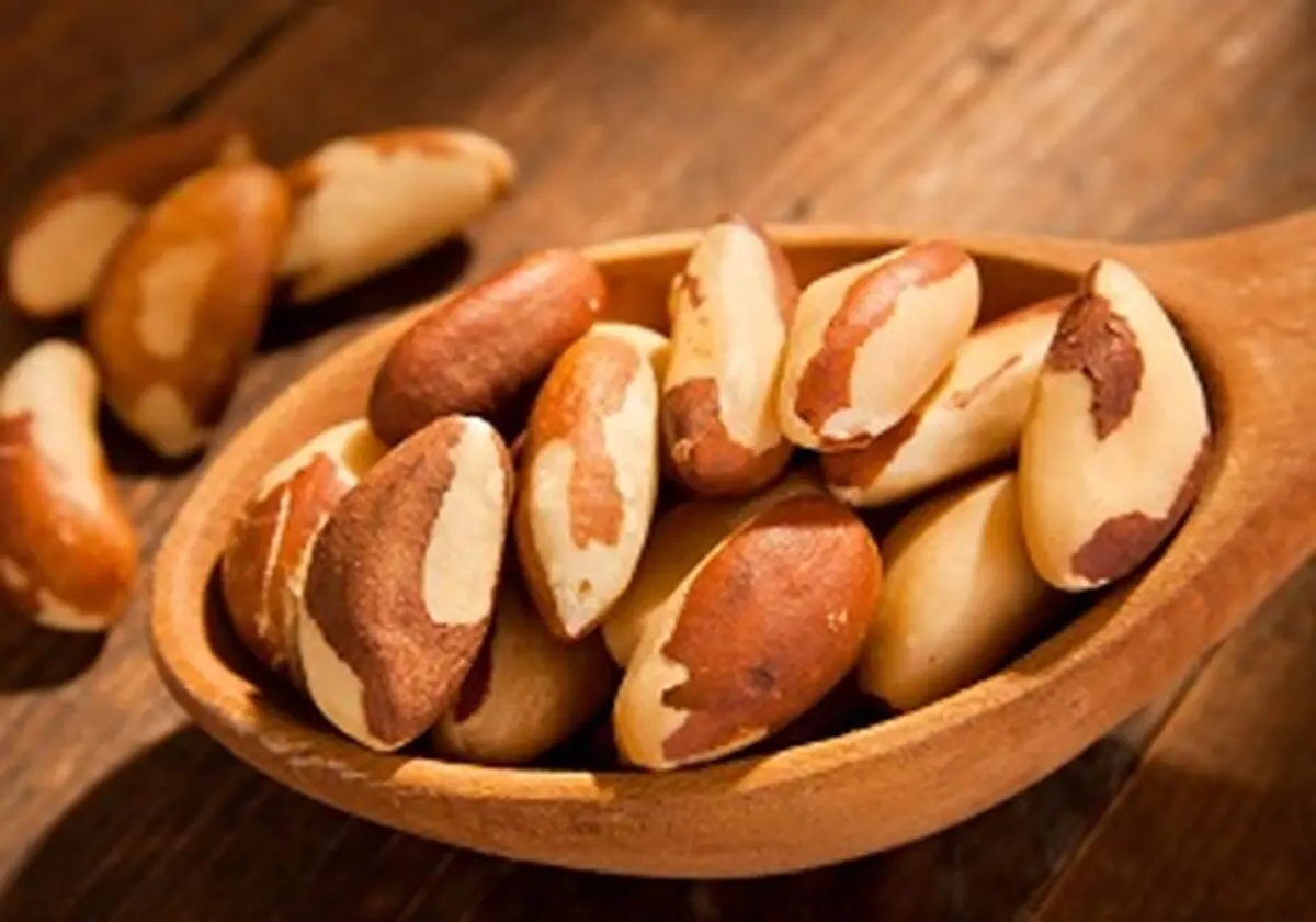 خواص جالب روغن بادام تلخ‏