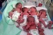  ۵ قلوهای مشهدی در بیمارستان ام‌البنین مشهد مقدس به دنیا آمدند 