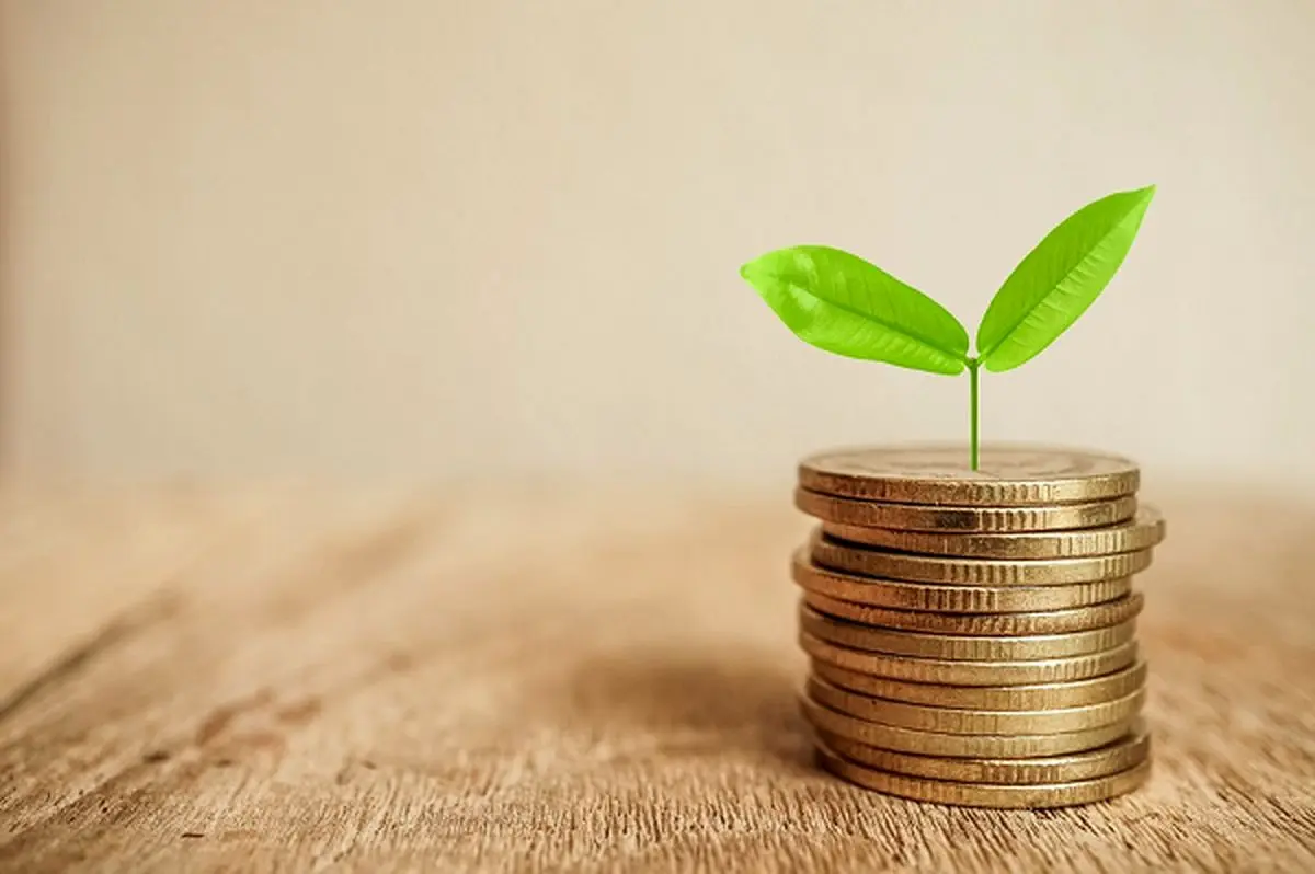 بهترین سرمایه گذاری با 10 میلیون تومان؟