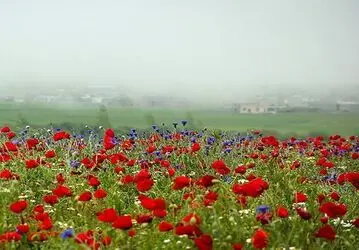 طبیعت