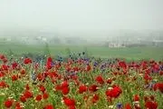ییلاقات بکر ماسال در آستانه زمستان/ عکس