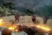 آتش کوه های شهرستان ملکشاهی ایلام را فرا گرفت