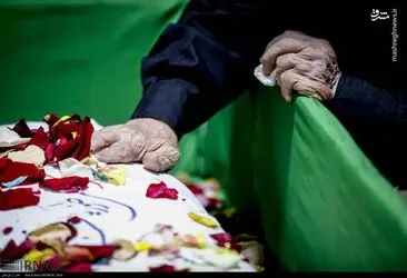 شهید 