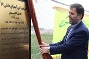افتتاح 4 واحد آموزشی جدید کیمیای دانش، توسط مسئولان گروه مالی و بانک گردشگری
