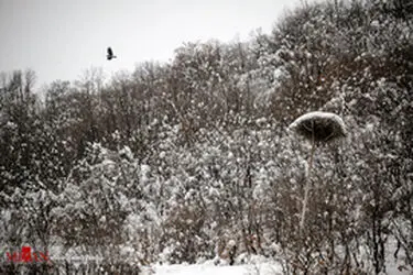thm_1020492_817