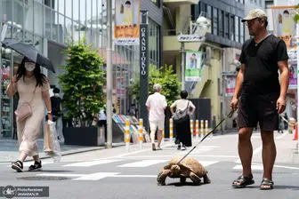 حیوان خانگی مرد ژاپنی! +عکس