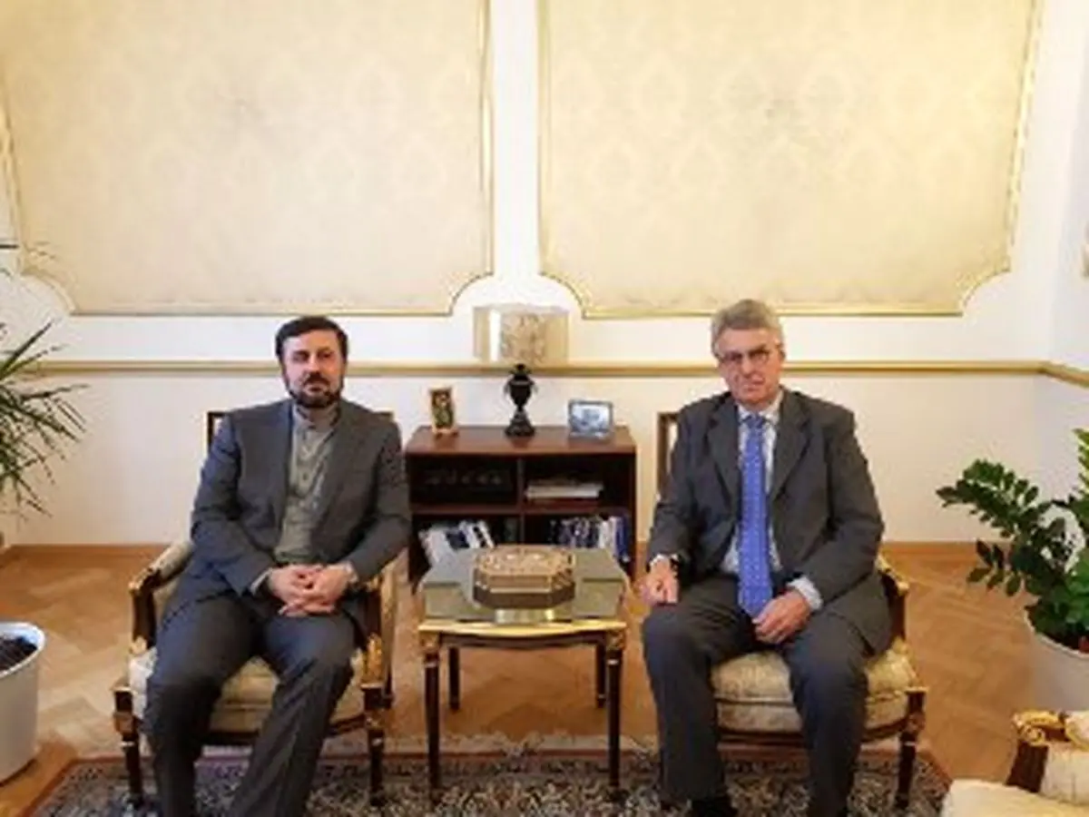 ملاقات سفرا و نمایندگان دائم ایران و آلمان نزد سازمان های بین المللی