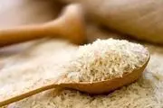 
قیمت برنج پاکستانی به ۱۴۵ هزار تومان کاهش یافت
