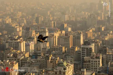 هوای ناسالم