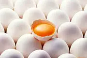 تنظیم بازار تخم‌مرغ آغاز شد