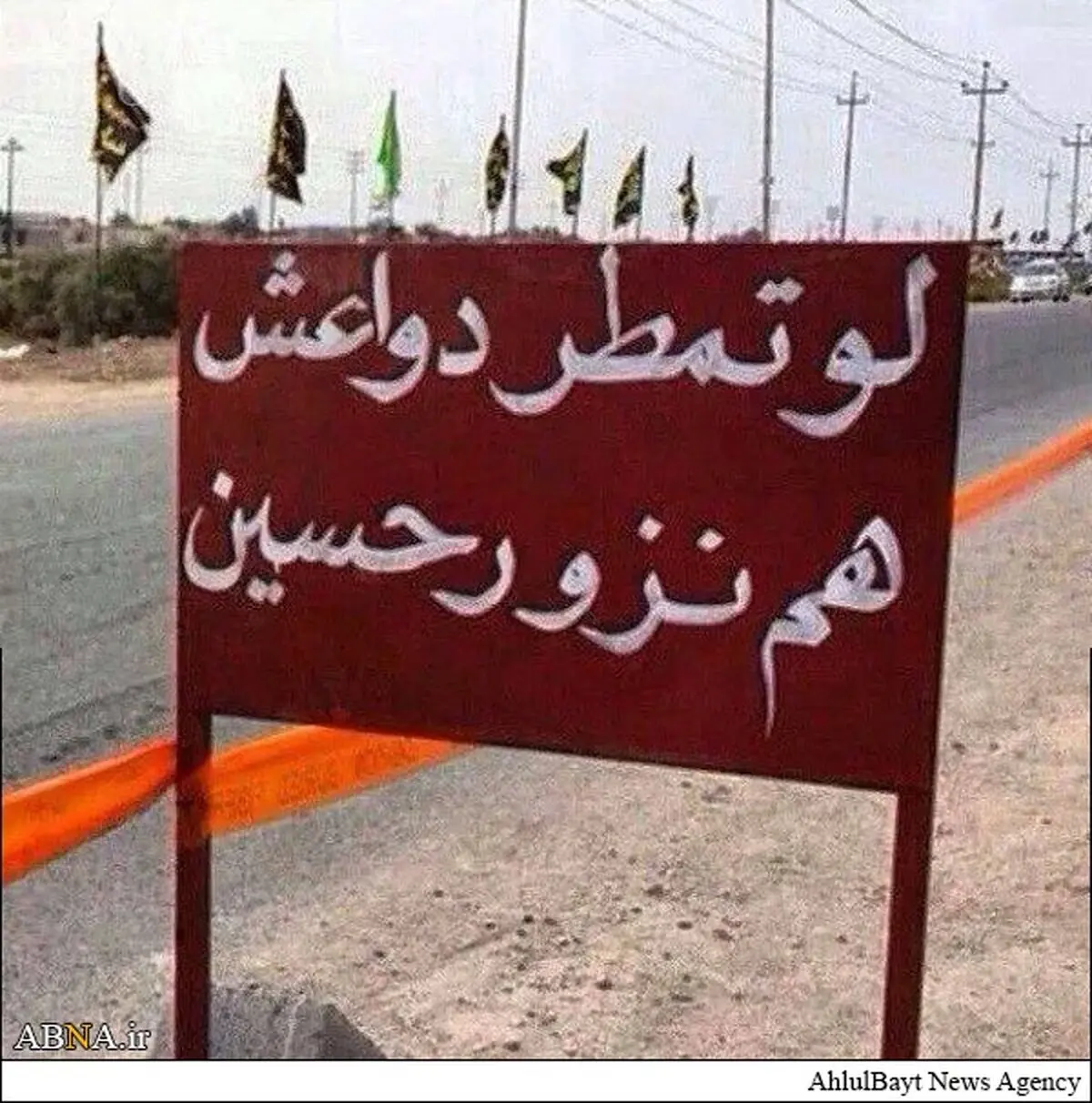 پاسخ دندان‌شکن زائران امام حسین(ع) به داعش + عکس