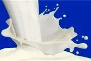 شیر پرچرب به کاهش وزن کمک می‌کند
