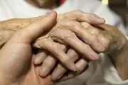 ذرت درمانگر پوکی استخوان