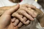 ذرت درمانگر پوکی استخوان