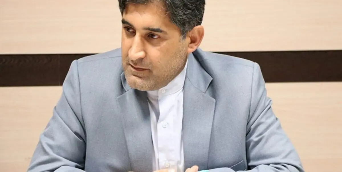 نادری: سازمان هدفمندی یارانه‌ها به وظایف خود عمل کرد