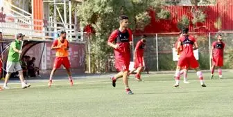 یک پرسپولیسی دیگر نامزد شد