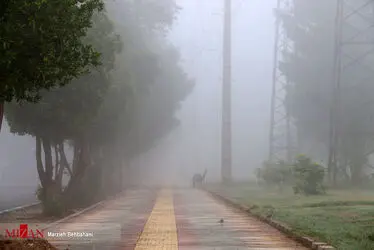 بندر مه آلود
