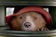 یک خرس پشمالو ؛ ستاره این روزهای هالیوود/عکس
