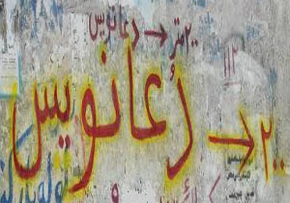 
بخت گشایی کار دست دعانویس داد

